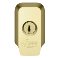 ASEC High Security Rim Cylinder Pull With Cylinder