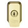 Polished Brass